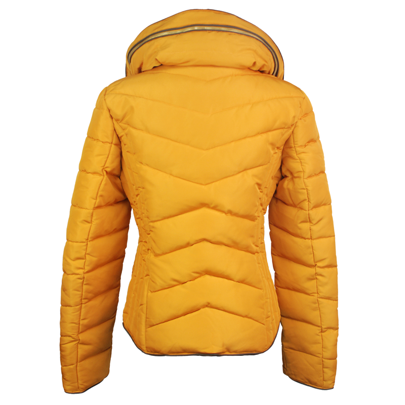 Polar fleece lining autumn warm outdoor windproof padding womens winter coats on sale